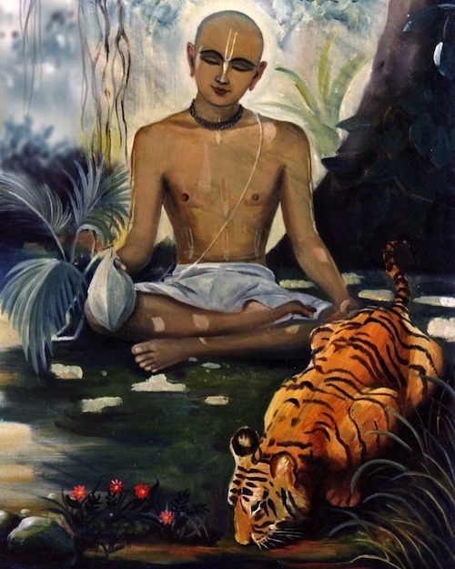 Raghunath and tiger