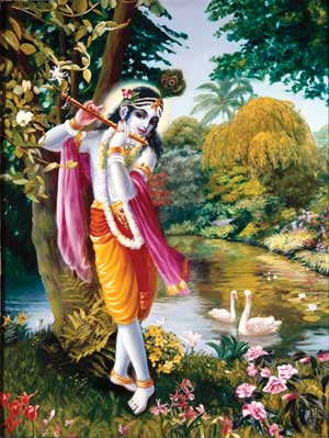 Sri Krsna