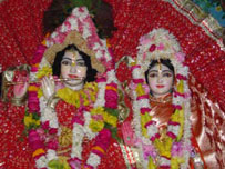 Sri Sri Radha Vinode-bihariji 