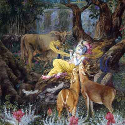 Sri Krsna