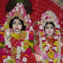 Sri Sri Radha-Vinoda-bihariji