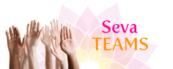 seva-teams 2